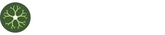 Miselia