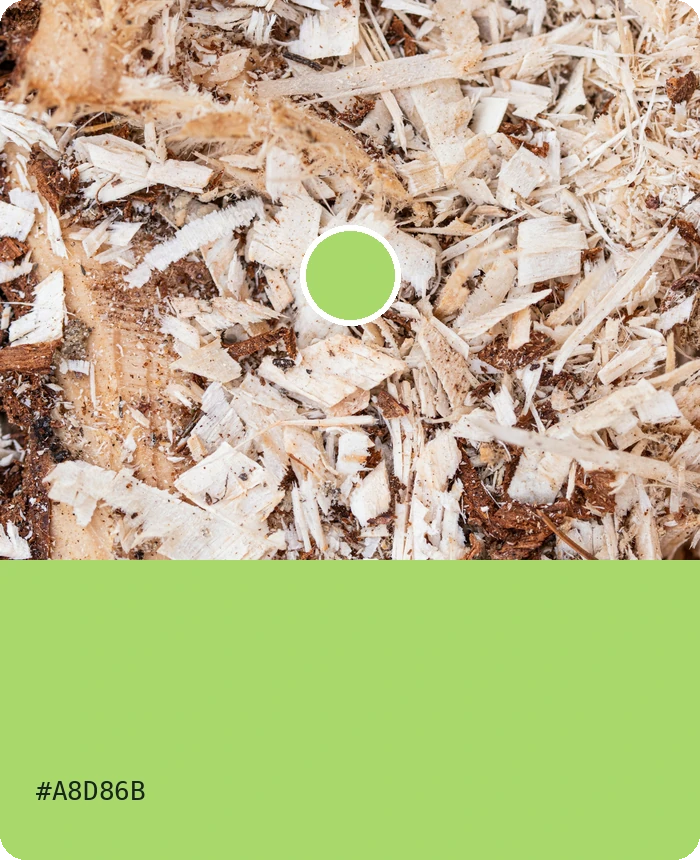 Contoh material Miselium + Serbuk Kayu; foto stok dan blok warna